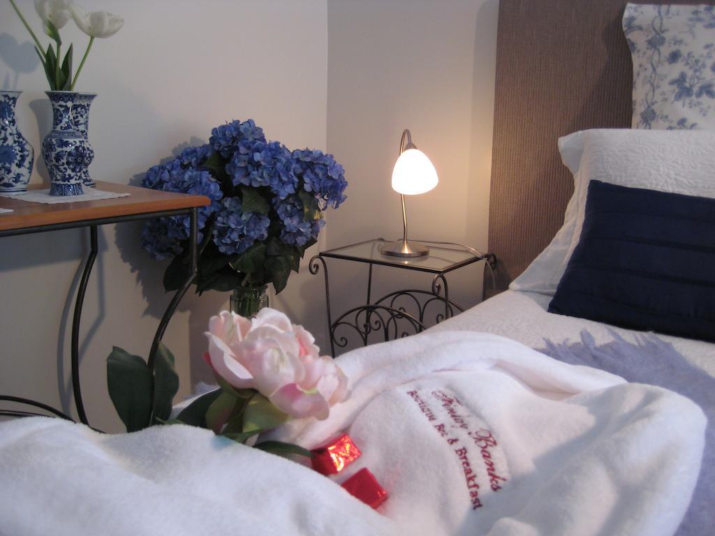 Finlay Banks Boutique Bed & Breakfast Christchurch Rum bild